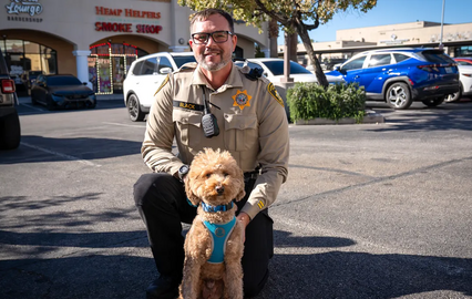Um final feliz! Cão abandonado no aeroporto de Las Vegas encontra uma nova família