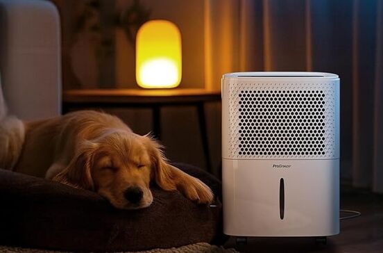 Desumidificador com 30% de desconto resolve humidade em casa