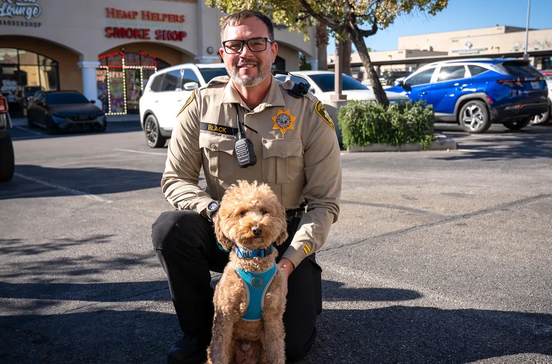 Um final feliz! Cão abandonado no aeroporto de Las Vegas encontra uma nova família