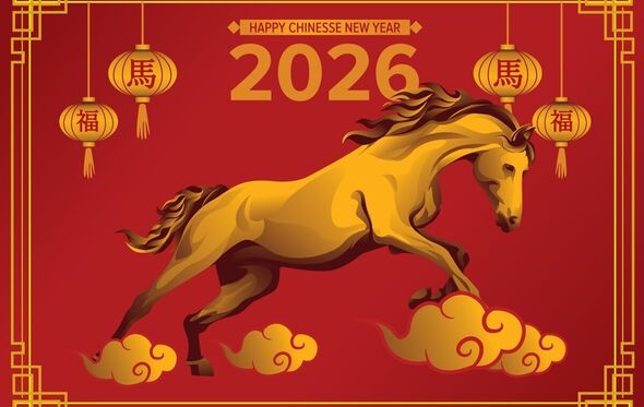 Ano do Cavalo em 2026: previsões para o novo ano chinês
