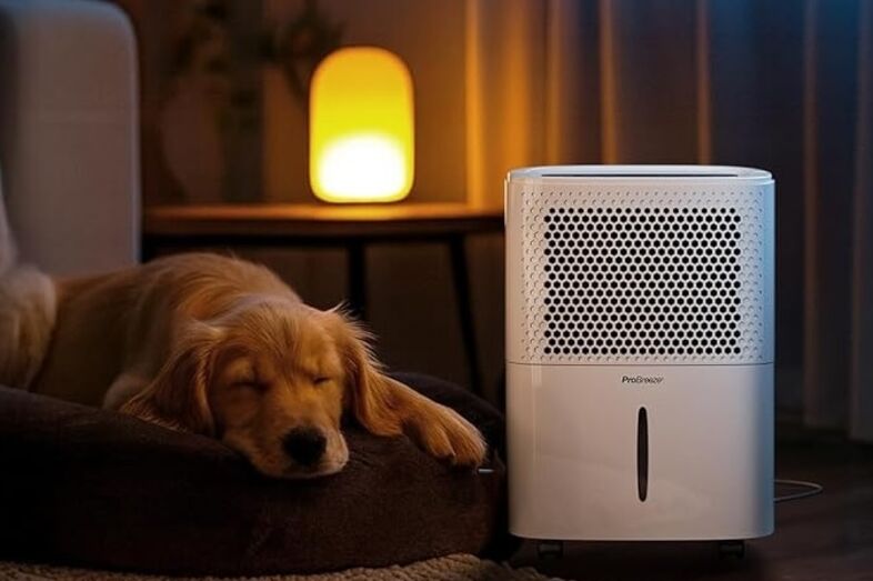 Desumidificador com 30% de desconto resolve humidade em casa