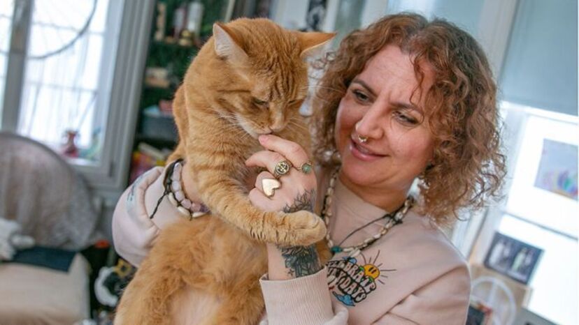 Na Alemanha há um gato na mira das autoridades por… miar demais