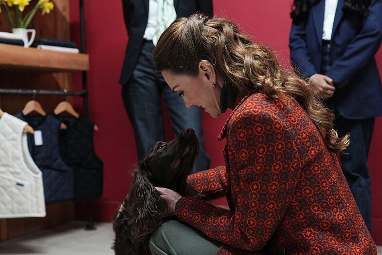 Kate Middleton encontra cão Barney no País de Gales e revela novo membro familiar