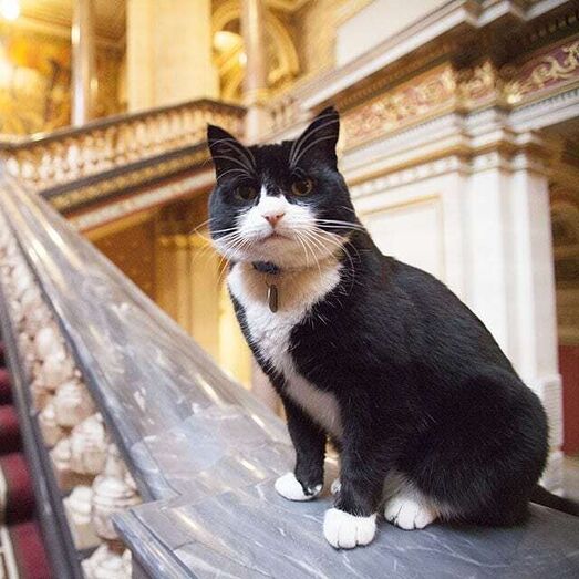Palmerston