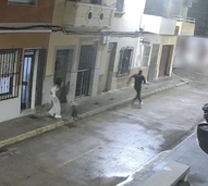 Espanha: Cão evita tentativa de rapto da tutora e torna-se um herói