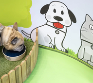 EPAL abre portas aos animais com novo espaço na Avenida da Liberdade