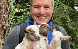 Família animal de João Baião não para de crescer: rosto da SIC apresenta as mais recentes cabrinhas num vídeo enternecedor