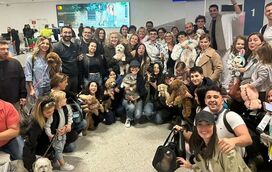 Animais de estimação retidos no Médio Oriente salvos por voo especial. Saiba toda a história!