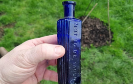 Arrepiante! Cão pode ter resolvido um crime com mais de um século