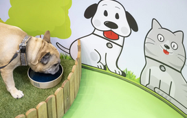 Pagar a conta da água com o seu melhor amigo? Conheça o novo espaço da EPAL onde os animais são vips