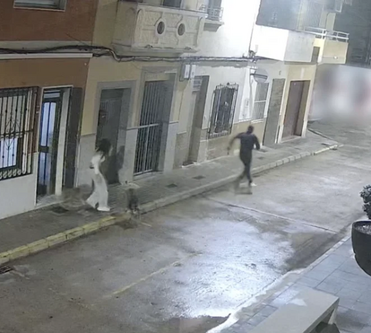 Cão torna-se um novo herói em Espanha! Patudo impede a tutora de ser raptada: veja todas as imagens 