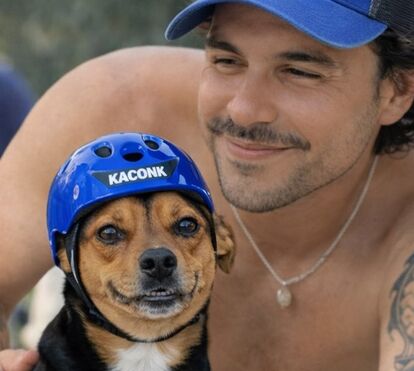 Vitória: a cadelinha que sobreviveu a atropelamento, comoveu o Brasil e transformou a vida do seu salvador