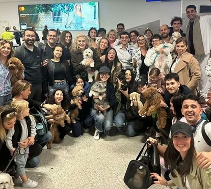 Animais de estimação retidos no Médio Oriente salvos por voo especial. Saiba toda a história!