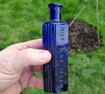 Arrepiante! Cão pode ter resolvido um crime com mais de um século