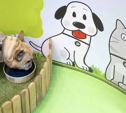 Pagar a conta da água com o seu melhor amigo? Conheça o novo espaço da EPAL onde os animais são vips