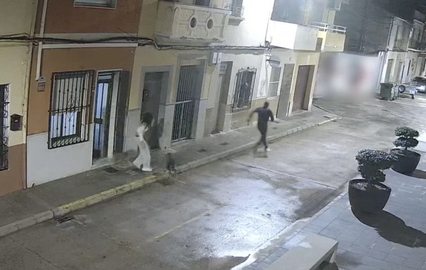 Espanha: Cão evita tentativa de rapto da tutora e torna-se um herói