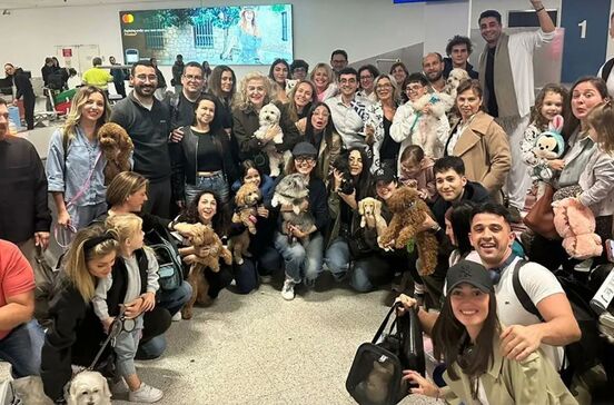 Voo especial salva dezenas de animais de estimação retidos no Médio Oriente