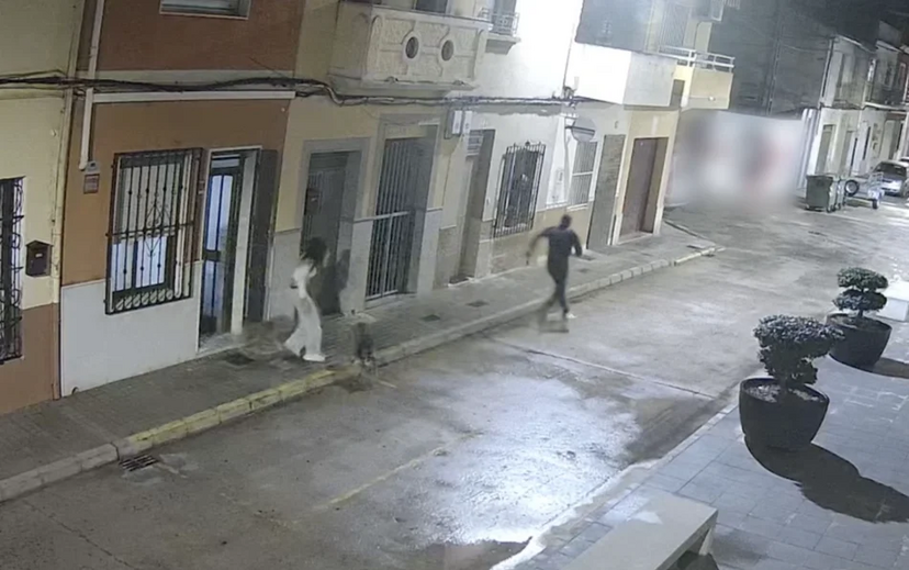 Espanha: Cão evita tentativa de rapto da tutora e torna-se um herói