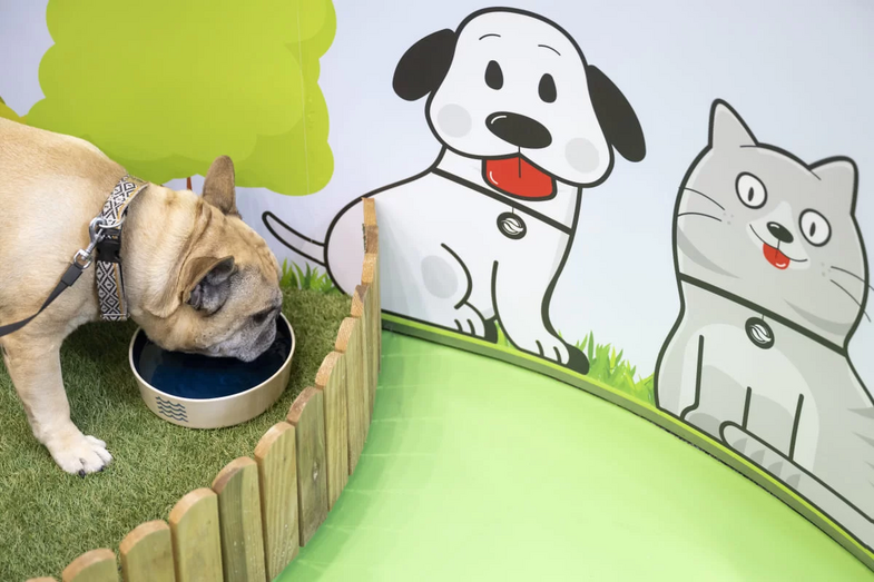 EPAL abre portas aos animais com novo espaço na Avenida da Liberdade