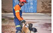 Parabéns, Billy e Betsy! Estes dois patudos são os novos cães de salvamento dos Bombeiros Sapadores de Lisboa