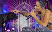 "Esse foi o último dia dele sendo cachorro de rua". Cão invade palco e acaba adotado por cantora no Brasil