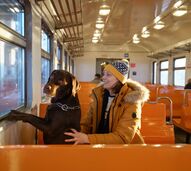 Vai viajar pela Europa? Atenção às novas exigências para o transporte de animais