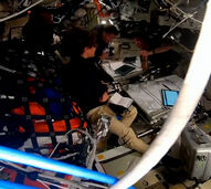 Promessa na Lua: o tributo emocionante do comandante da Artemis II à falecida mulher