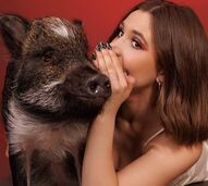 Merlin, o porco que "fala" através de botões, conquistou um recorde mundial