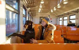 Guarda partilhada e divisão de despesas de animais passa a ter enquadramento legal no Brasil. Isto é o que diz a lei portuguesa