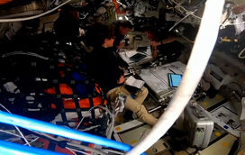 Promessa na Lua: o tributo emocionante do comandante da Artemis II à falecida mulher