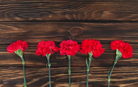 Lisboa revolucionária! Um roteiro alfacinha para assinalar (e recordar) o 25 de Abril