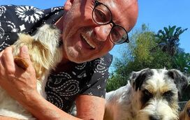 Ninguém aguenta tanto mimo! Sem filtros, Manuel Luís Goucha mostra-se rendido ao seu amigo de quatro patas 