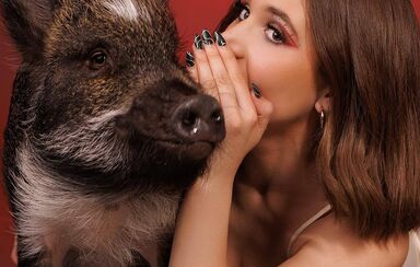 Merlin, o porco que "fala" através de botões, conquistou um recorde mundial