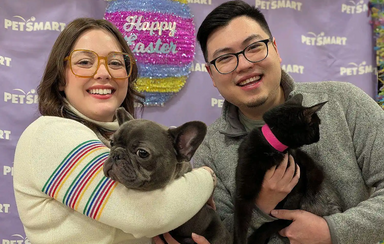 O 'match' perfeito! Cadela e gata com 3 patas tornam-se melhores amigas e são adotadas juntas