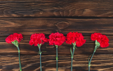 Celebração do 25 de Abril em Lisboa com cravos vermelhos.
