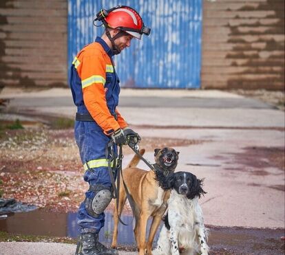 Billy e Betsy: conheça os novos heróis de quatro patas que acabam de conquistar Lisboa
