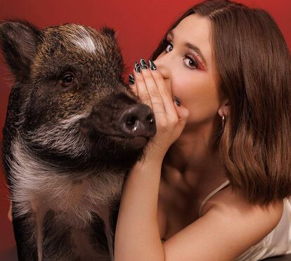 Já conhece o Merlin, o porco que 'fala' através de botões? É um fenómeno mundial e conquistou um novo recorde 