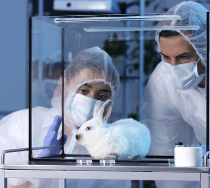 Mais um grande avanço! Relatório da UE revela redução do uso de animais em experiências científicas