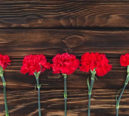 Lisboa revolucionária! Um roteiro alfacinha para assinalar (e recordar) o 25 de Abril