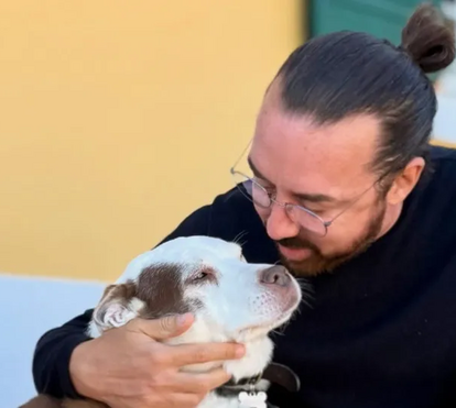 Lembra-se de Maria Francisca, a cadela que ficou famosa no 'Big Brother Vip'? Patuda não resistiu a doença e acabou por morrer