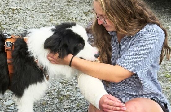 Um verdadeiro milagre! Cadela Molly sobrevive a queda de 55 metros e é resgatada na Nova Zelândia.jpg