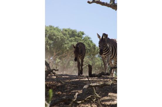 Novo Projeto (3).jpg