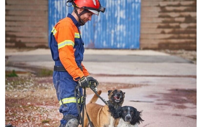Parabéns, Billy e Betsy! Estes dois patudos são os novos cães de salvamento dos Bombeiros Sapadores de Lisboa