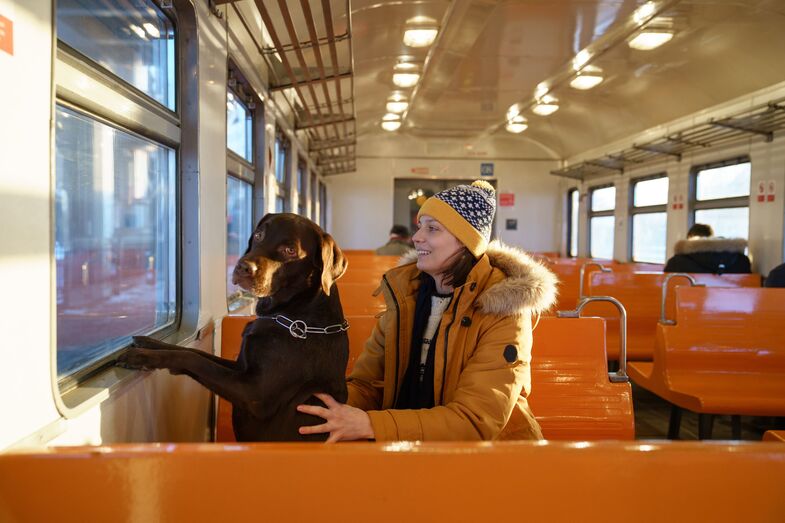 Vai viajar pela Europa? Atenção às novas exigências para o transporte de animais