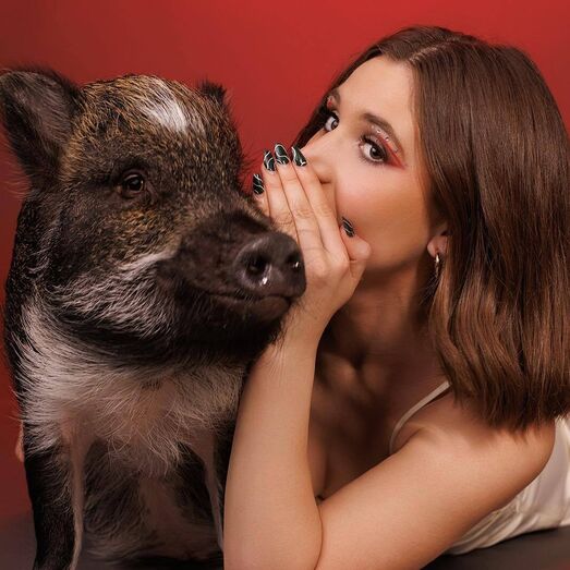 Merlin, o porco que "fala" através de botões, conquistou um recorde mundial