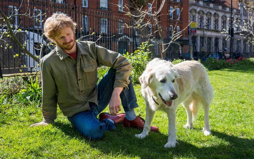 Este professor britânico diz que não suporta cães. E isso está a dificultar a sua vida amorosa