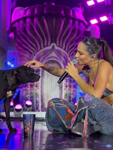 "Esse foi o último dia dele sendo cachorro de rua". Cão invade palco e acaba adotado por cantora no Brasil