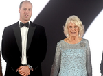Camilla, Príncipe William