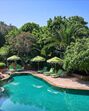Piscina rodeada de vegetação exuberante e espreguiçadeiras verdes convidativas