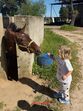 Petra, a filha de Frederico Varandas e Katarina Larsson